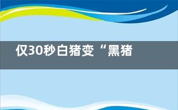 仅30秒白猪变“黑猪” 猪肉也有潜规则